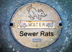 Sewer Rats Video Link
